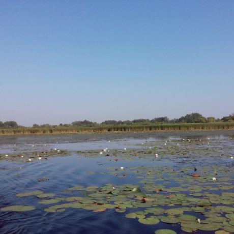 Der Theißsee III. - Sprachbausteine - Nyelvtan, középhaladó